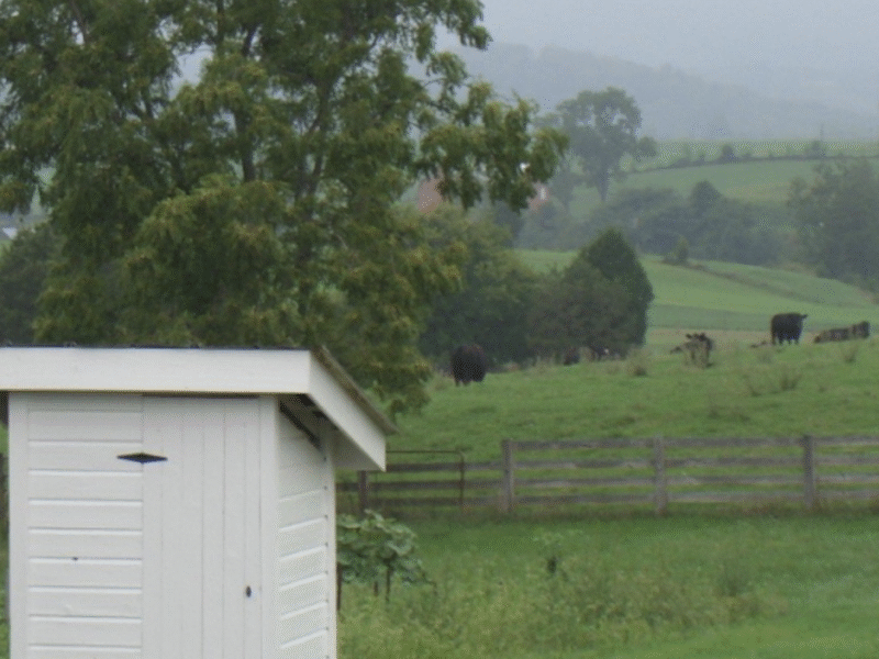 Shady Spring Farm